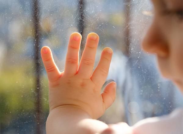 Velünk együtt élnek: jótékony baktériumaink